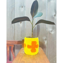 Load image into Gallery viewer, HAND TUFTED PLANTER
